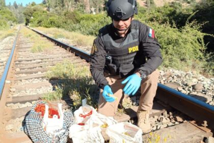 Hallazgo en Quintero: 400 explosivos abandonados en zona rural