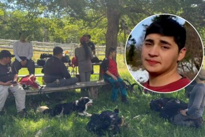 Misteriosa desaparición de joven en Parque Nacional Villarrica genera preocupación comunitaria