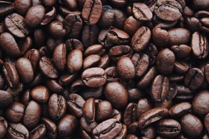 Descubren nuevo café resistente al cambio climático: Coffea robusta-clima