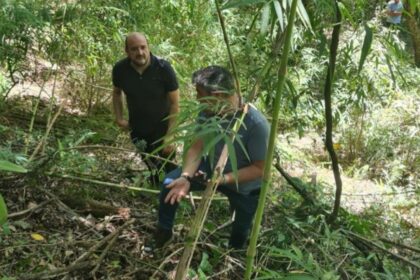 Identifican posible vínculo entre cráneo hallado y desaparecido en Villarrica