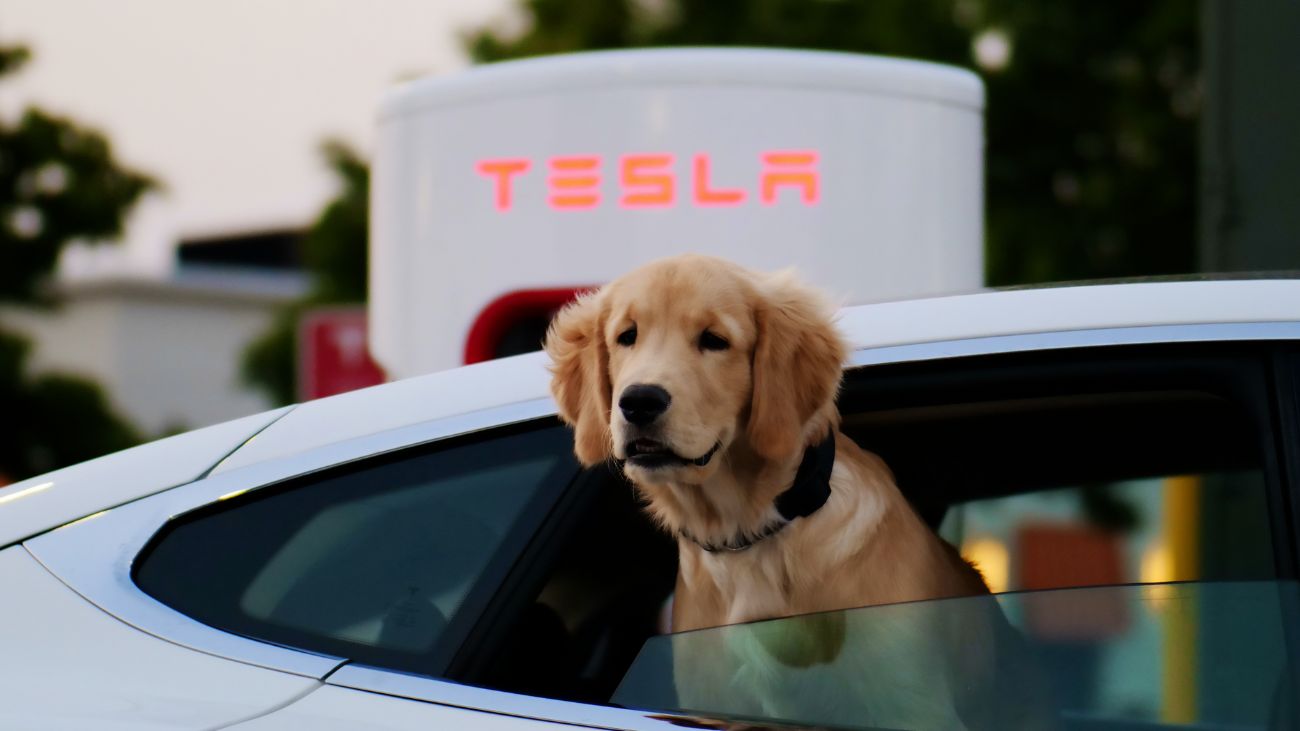 Caída en las ventas anuales de Tesla: 1,79 millones de vehículos vendidos en 2024