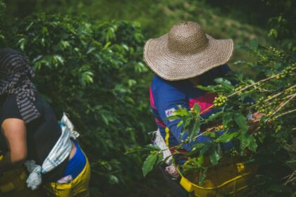 Agricultores de La Araucanía exigen igualdad de condiciones y precios justos