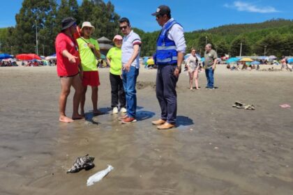 Misteriosa varazón de peces y aves en la región del Bío Bío