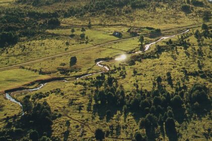 Vecinos de Puerto Montt transforman el Sitio Arqueológico Monte Verde