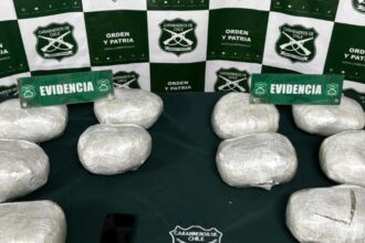 Incautados 11 kilos de marihuana y detienen a traficante en Valparaíso