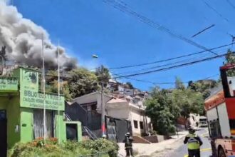 Incendios en Viña del Mar: Bomberos luchan contra llamas en dos sectores