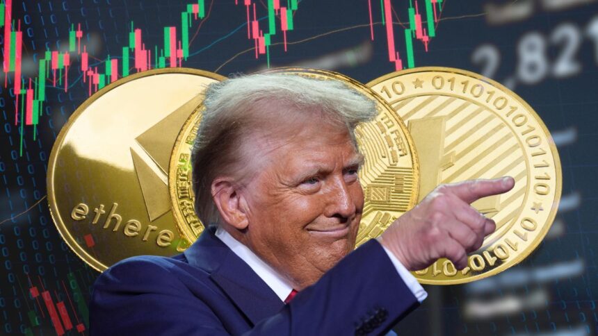 Trump: la criptomoneda que genera dudas y entusiasmo global