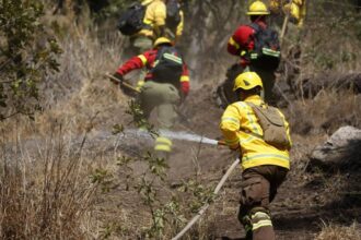 Tragedia en La Araucanía: Tres brigadistas mueren combatiendo incendio forestal