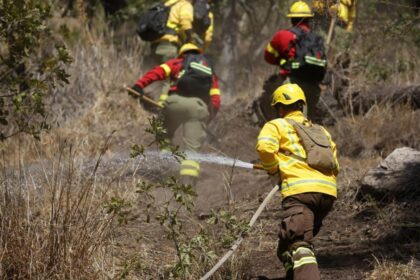 Tragedia en La Araucanía: Tres brigadistas mueren combatiendo incendio forestal