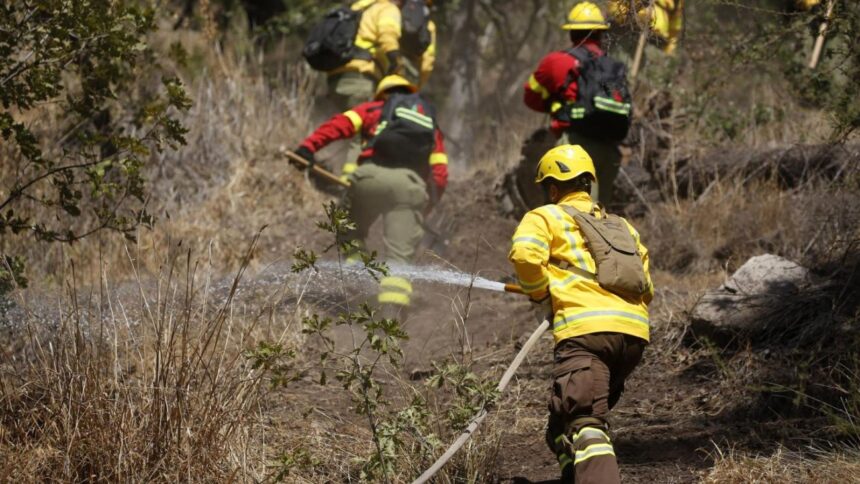 Tragedia en La Araucanía: Tres brigadistas mueren combatiendo incendio forestal