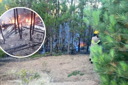 Helicóptero capota en Paredones, O'Higgins: investigan causas tras accidente forestal