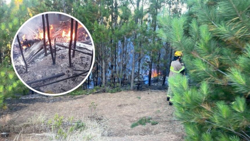 Helicóptero capota en Paredones, O'Higgins: investigan causas tras accidente forestal