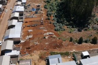 Toma ilegal de cortafuegos en Dichato pone en peligro seguridad forestal