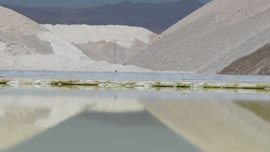 Corte de Apelaciones rechaza recurso de amparo contra Codelco por explotación de litio