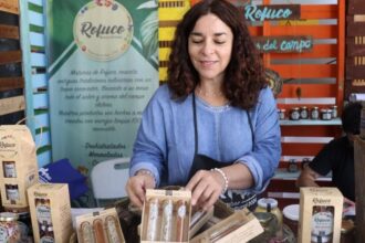 Actividades culturales y ferias en Valdivia y Los Ríos