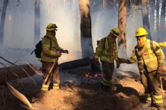 Detenida por incendio que causó muerte de brigadistas en Los Sauces