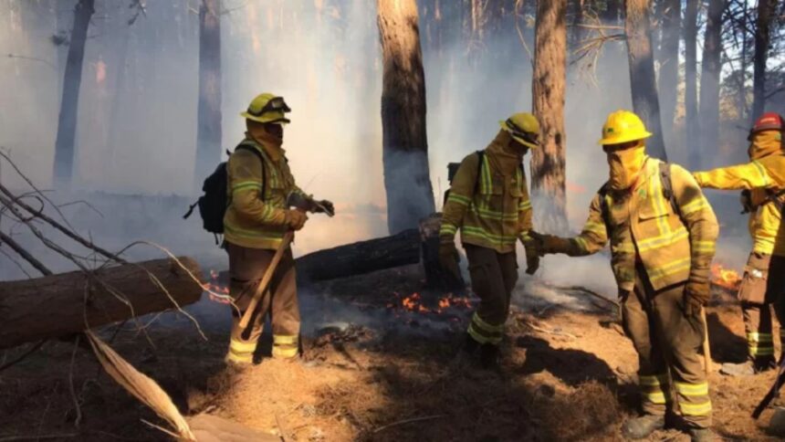 Detenida por incendio que causó muerte de brigadistas en Los Sauces