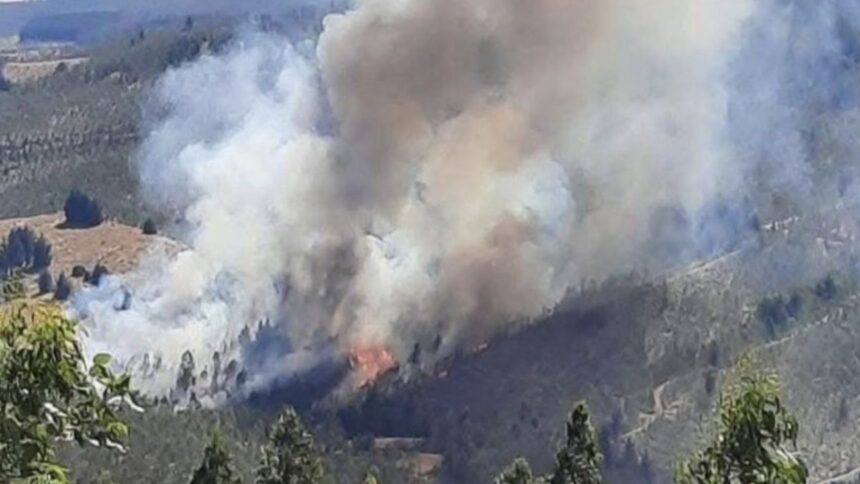 Trágico hallazgo en Los Sauces: encuentran cuarto cadáver vinculado a incendio