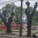 Disputa legal en Chiguayante por terreno junto a Plaza José Palma