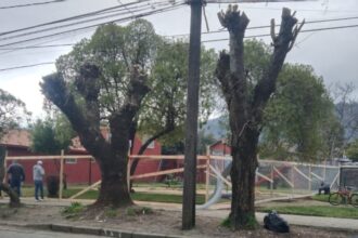 Disputa legal en Chiguayante por terreno junto a Plaza José Palma