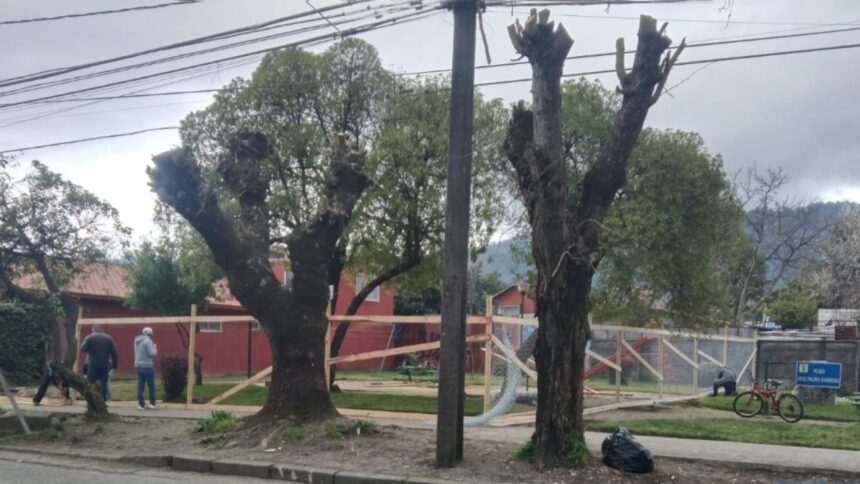 Disputa legal en Chiguayante por terreno junto a Plaza José Palma