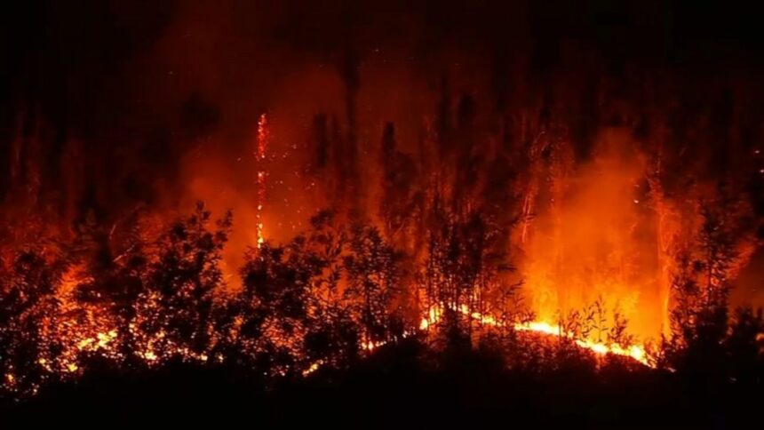 Internación provisoria por incendio en La Araucanía: la acusada enajenada