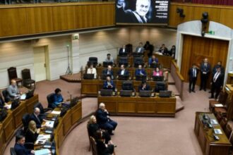 Senadores de izquierda rechazan monumento a Sebastián Piñera por violaciones a DD.HH