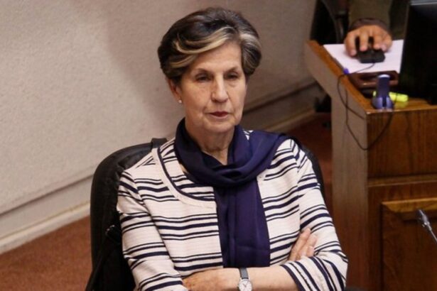 Tribunal Constitucional admite requerimiento contra Isabel Allende por compraventa fallida