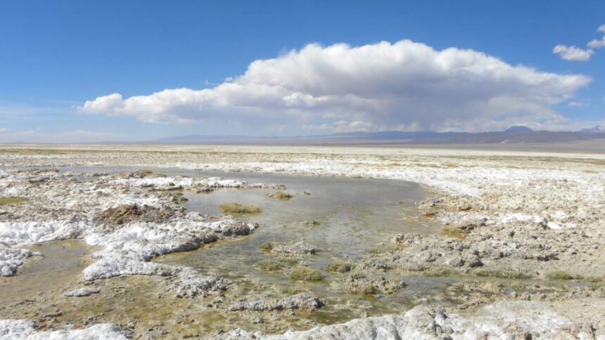 Chile busca impulsar la minería de litio con nuevas áreas de explotación