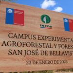 Centro Experimental de Agroforestería y Diversificación forestal en Ñuble: Importancia regional