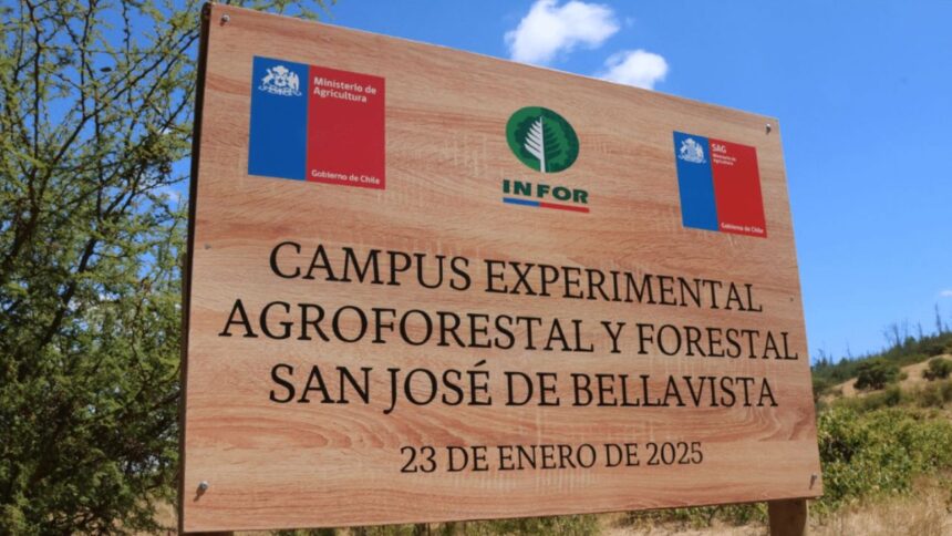 Centro Experimental de Agroforestería y Diversificación forestal en Ñuble: Importancia regional