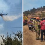 Incendio forestal en Lonquén: controlan avance en sectores cercanos