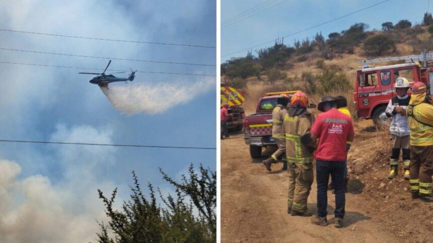 Incendio forestal en Lonquén: controlan avance en sectores cercanos