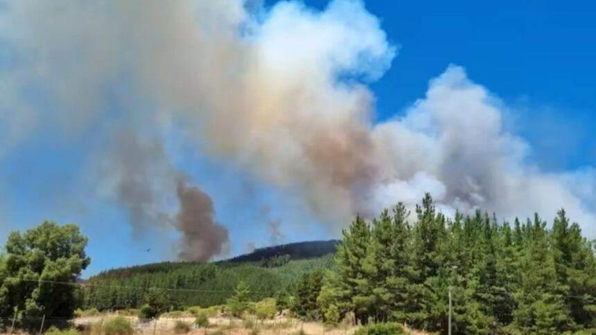 Alerta Roja en San Javier por incendio forestal durante ola de calor