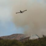 Detenido trabajador por incendio forestal en Talagante: Impacto e investigaciones