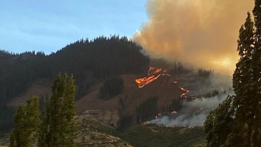 Incendio descontrolado arrasa en San Javier, Región del Maule