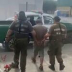 Detenido en Carahue por iniciar incendio forestal: impacto ambiental y medidas judicial