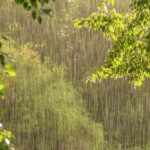 Lluvias, tormentas y vientos: pronóstico del tiempo en Chile