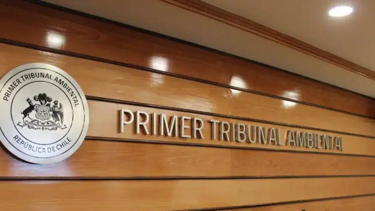 Tribunal Ambiental anula resolución del SEA por cultivo de salmones