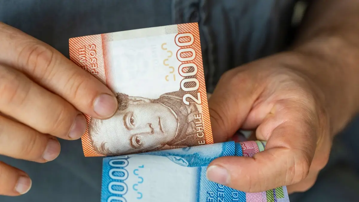 Beneficios disponibles para cesantes en junio de 2026: Todo lo que necesitas saber