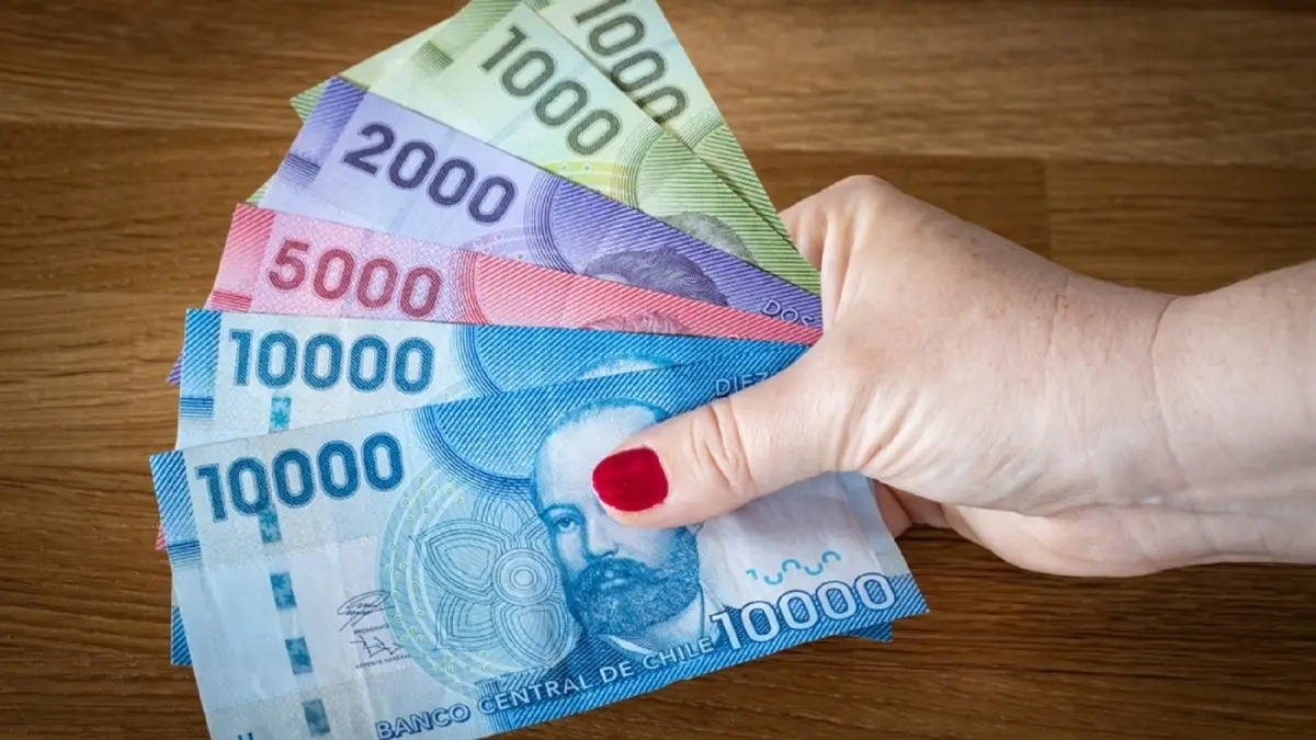 Cómo consultar si tienes bonos o beneficios pendientes usando tu RUT