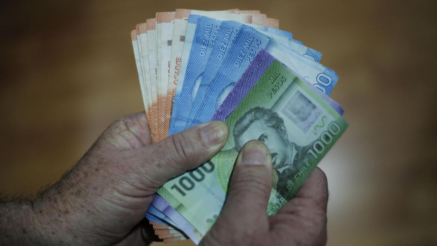 Capital Semilla Modo Empleo