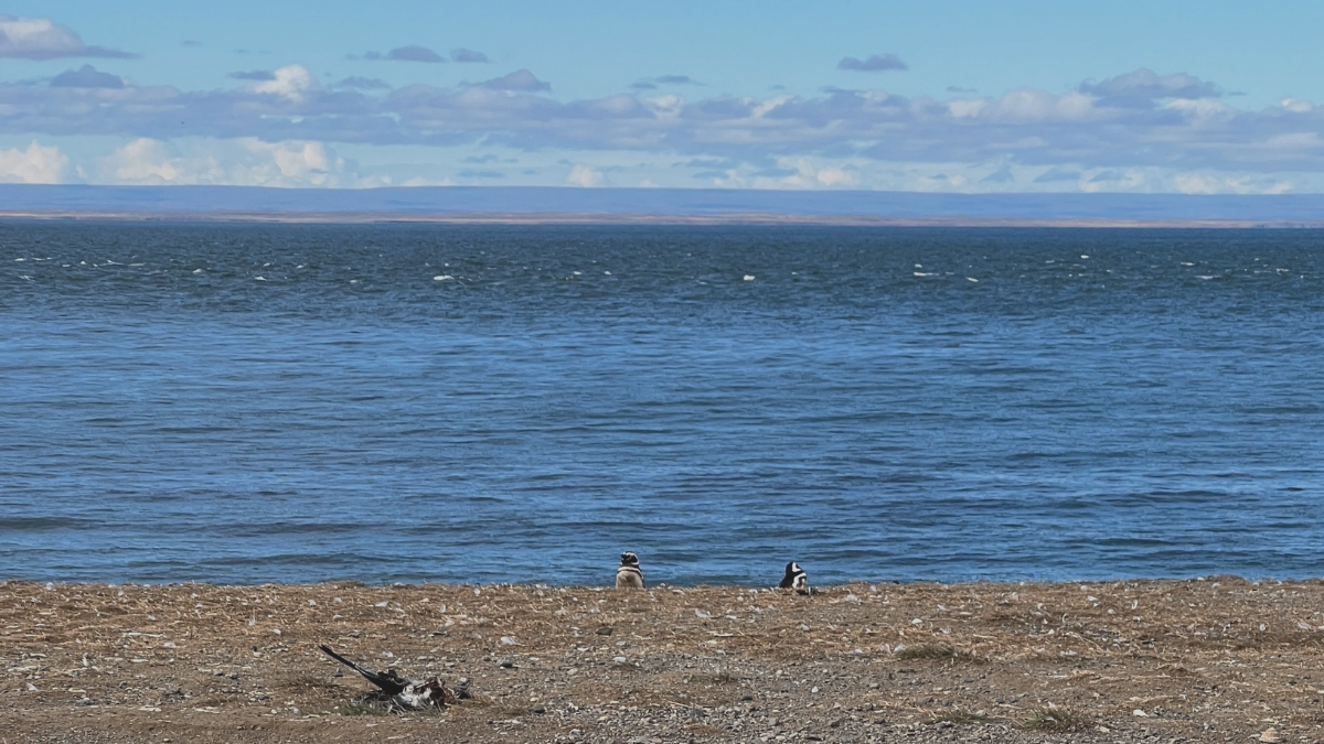 Estrecho de Magallanes