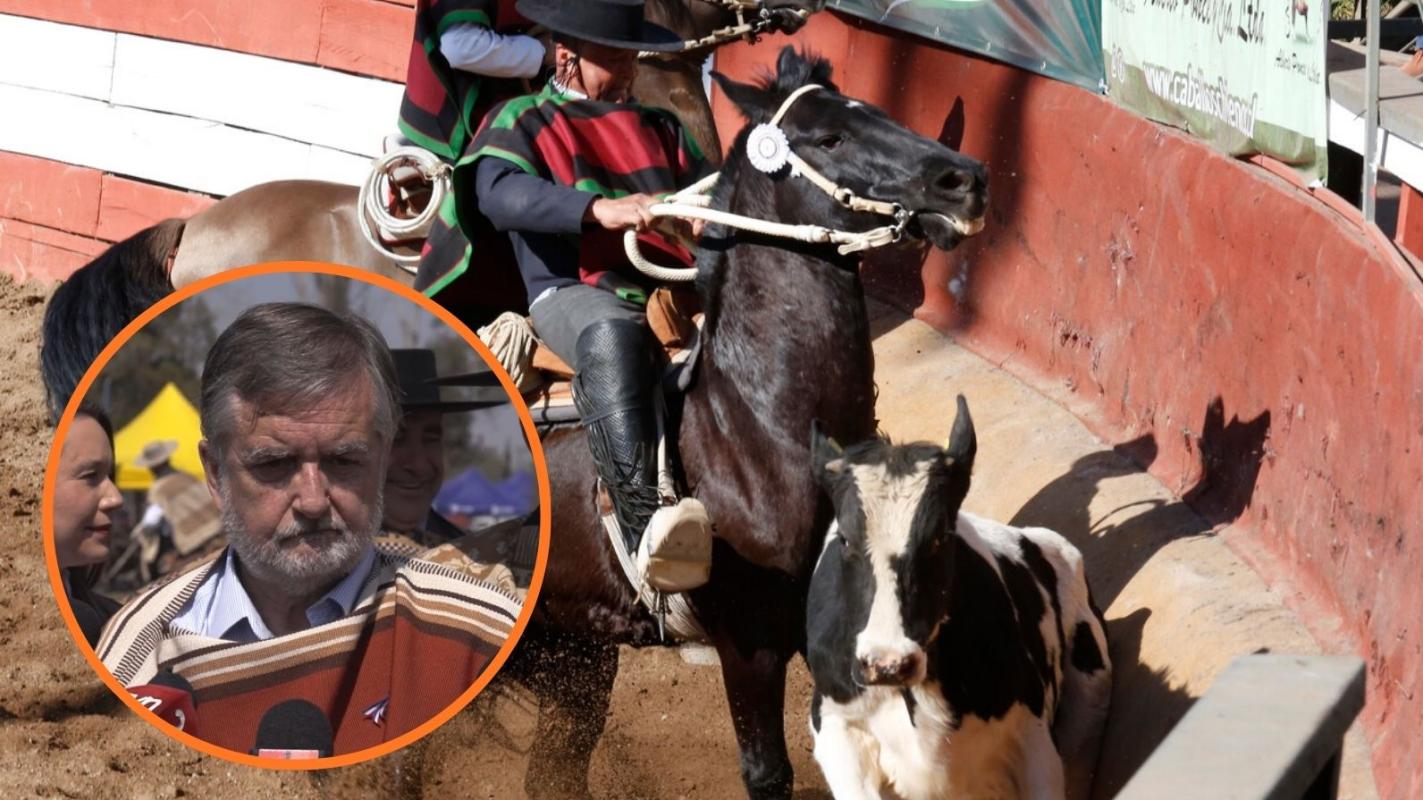 Ministro de las Culturas, Francisco Undurraga, en la Semana de la Chilenidad.