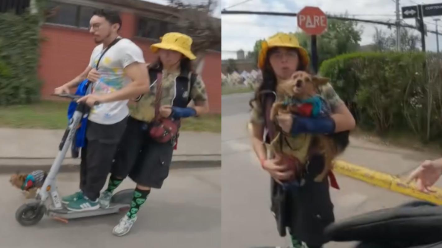 Perro corriendo junto a un scooter en La Florida