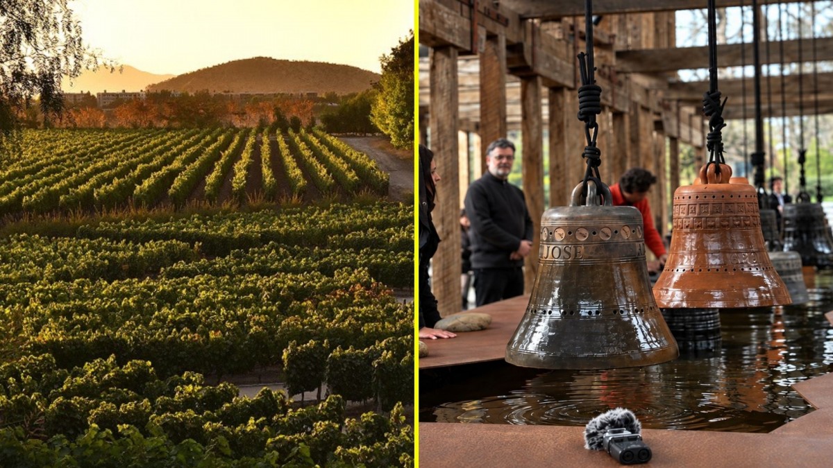 Centro del Vino Concha y Toro