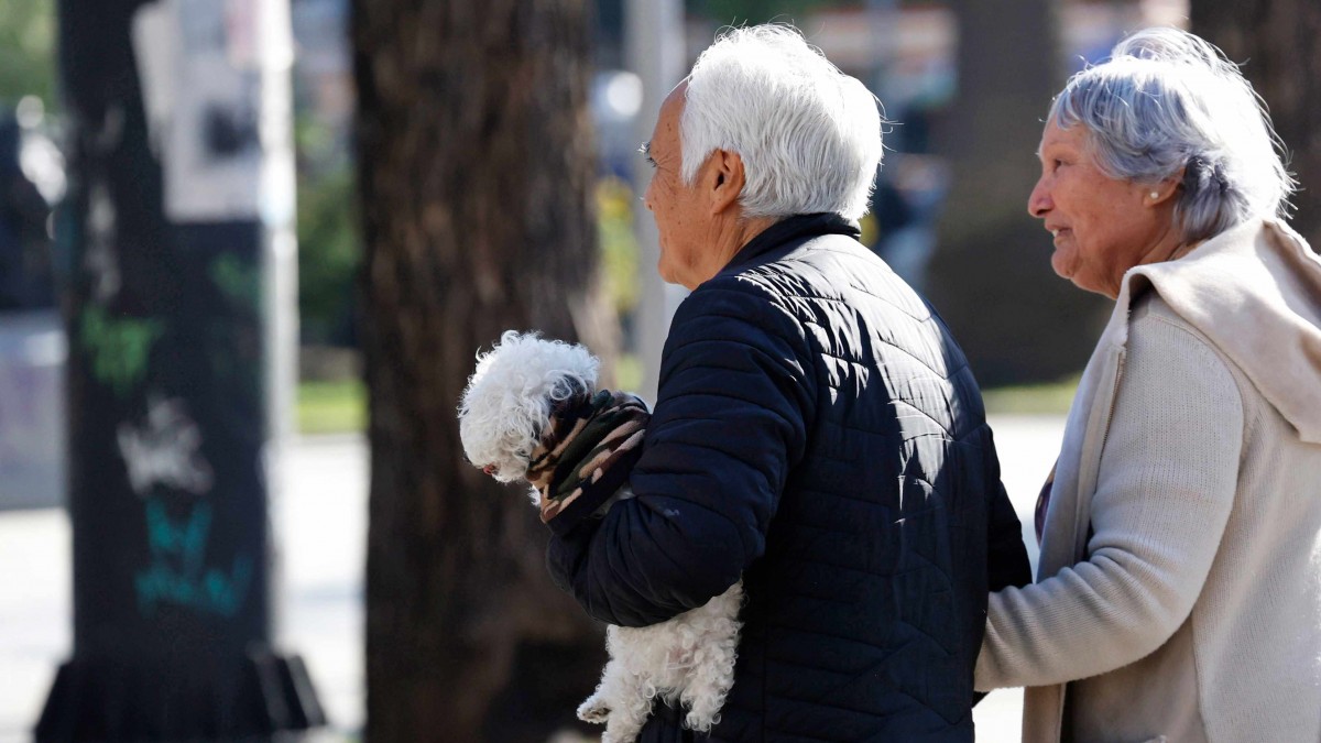 Pérdidas en fondos de pensiones