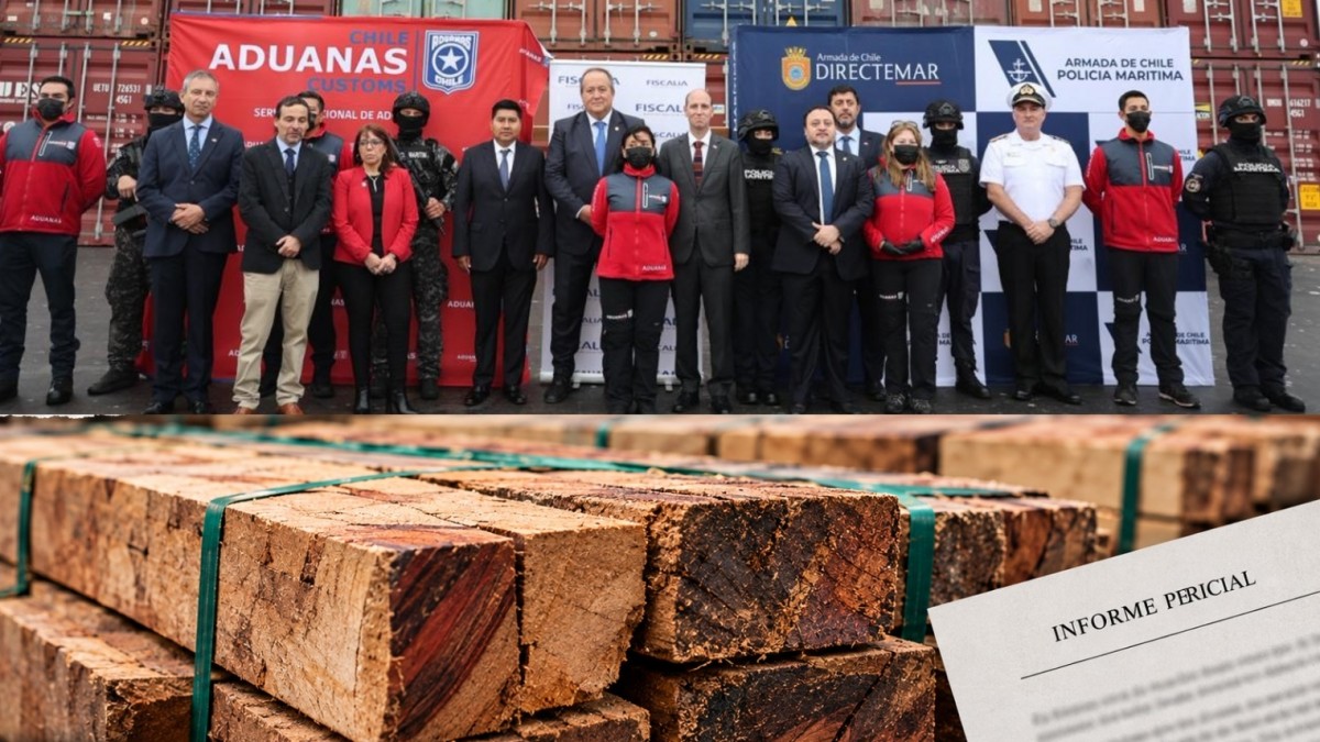 Informe sobre narcotráfico en madera boliviana