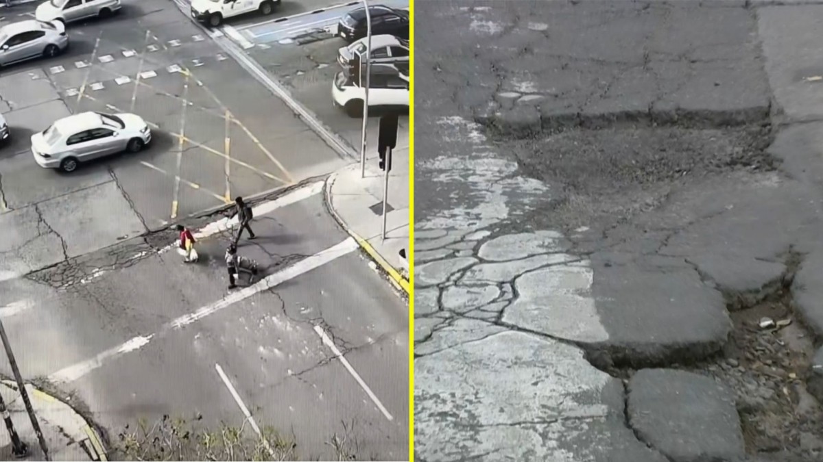 Bache en el puente Toesca, Santiago